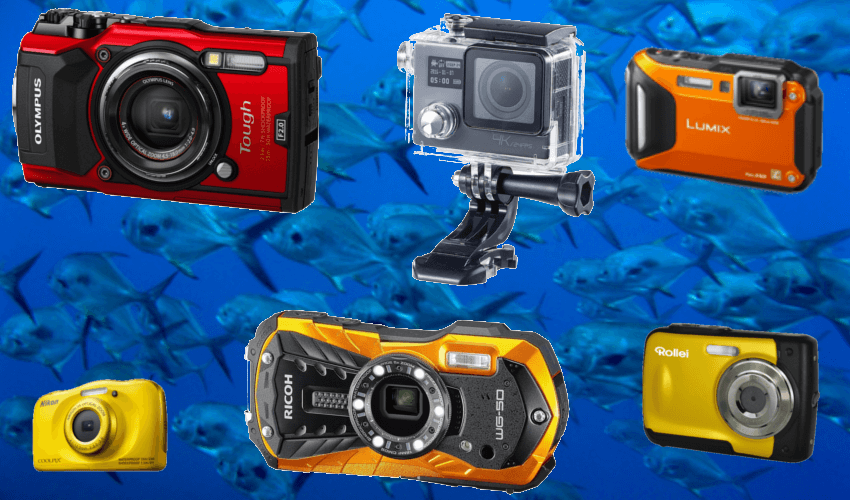 Im Hintergrund Fische im See und im Vordergrund verschiedene Unterwasserkameras und wasserdichte Kameras