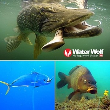 Wasser Wolf Unisex uw1.1 HD Collage mit Beispielaufnahmen